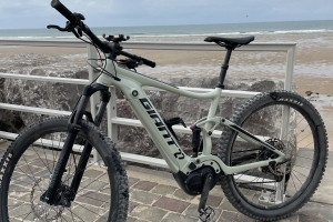 VTT AE GIANT STANCE E+1 PRO 29"